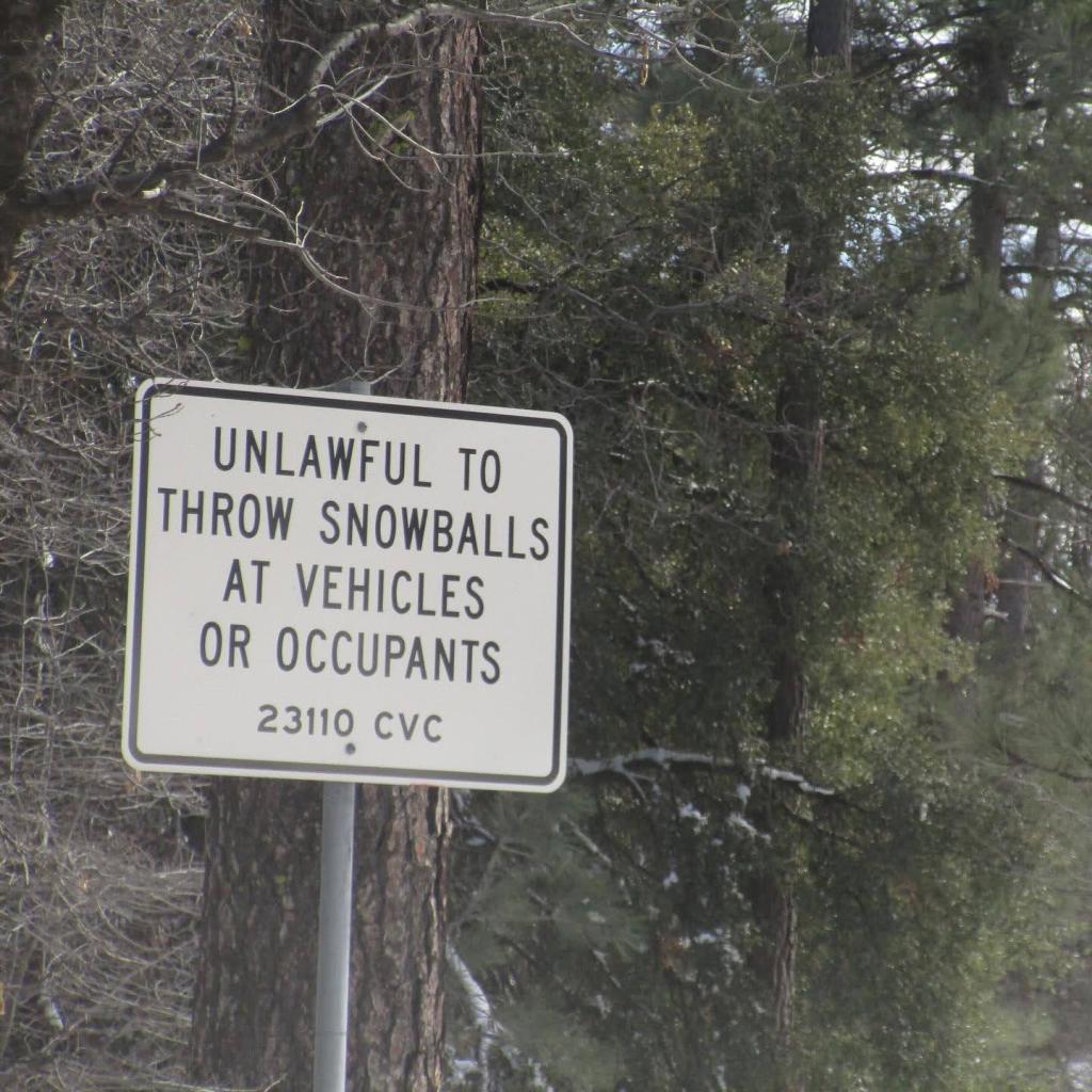 LONGEST LESBIAN TALKING&nbsp;STAGE